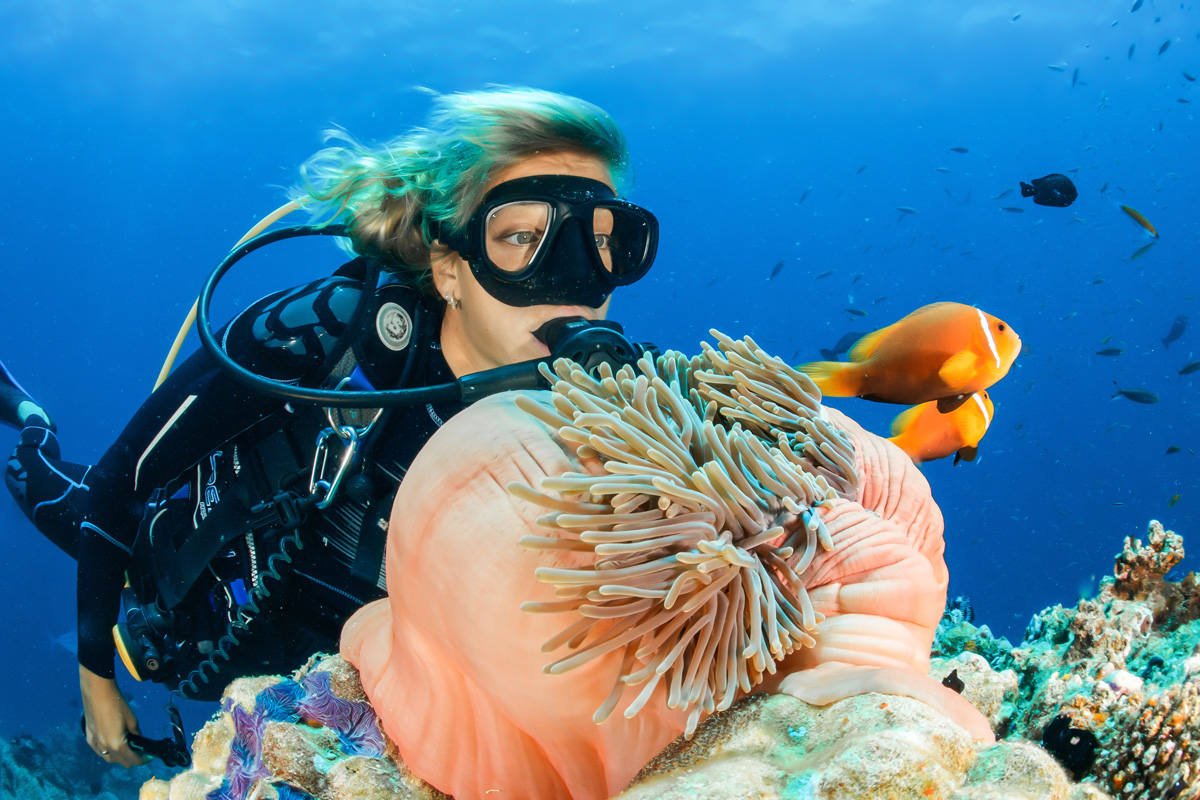 Gold-Coast-Scuba-Diving